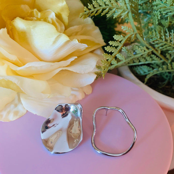 Silver Hoop and Full Circle Fashion Earrings